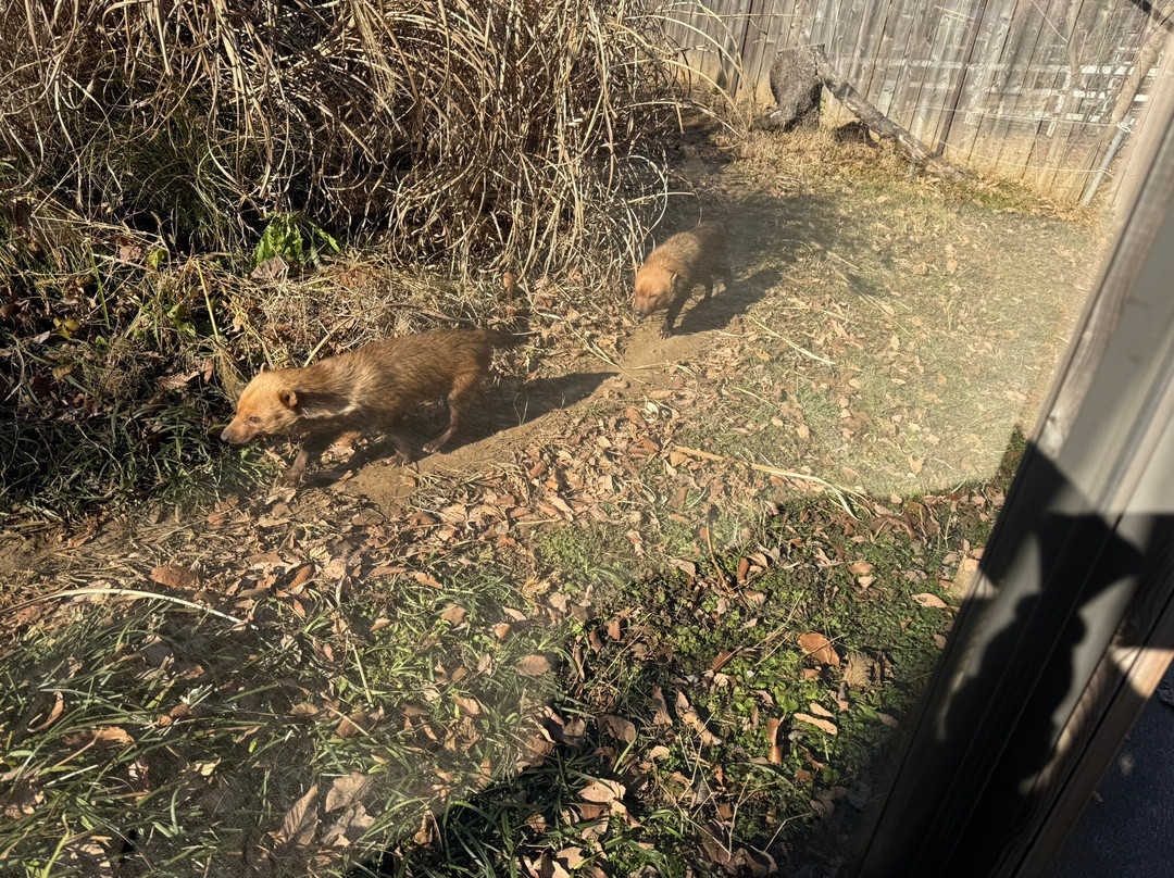 Saitama Children Zoo-东松山市必去景点