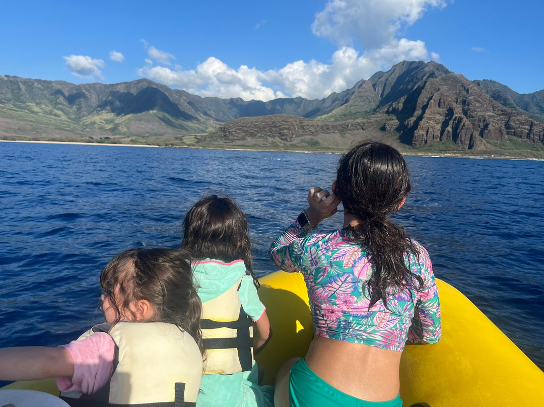 海豚潜水之旅-怀厄奈必去景点