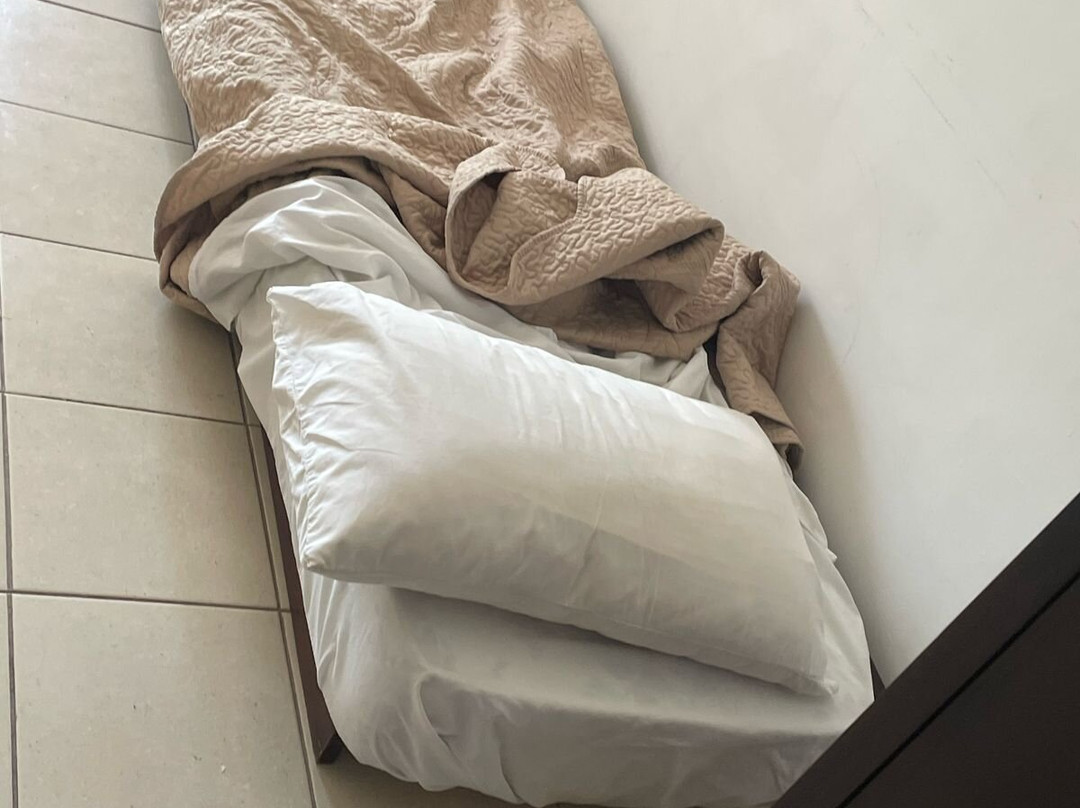 Brisas del Lago主图