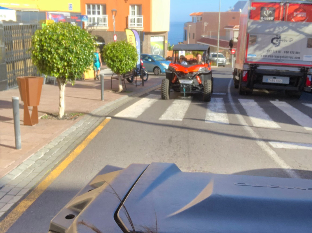 Buggy Tour Icod景点图片