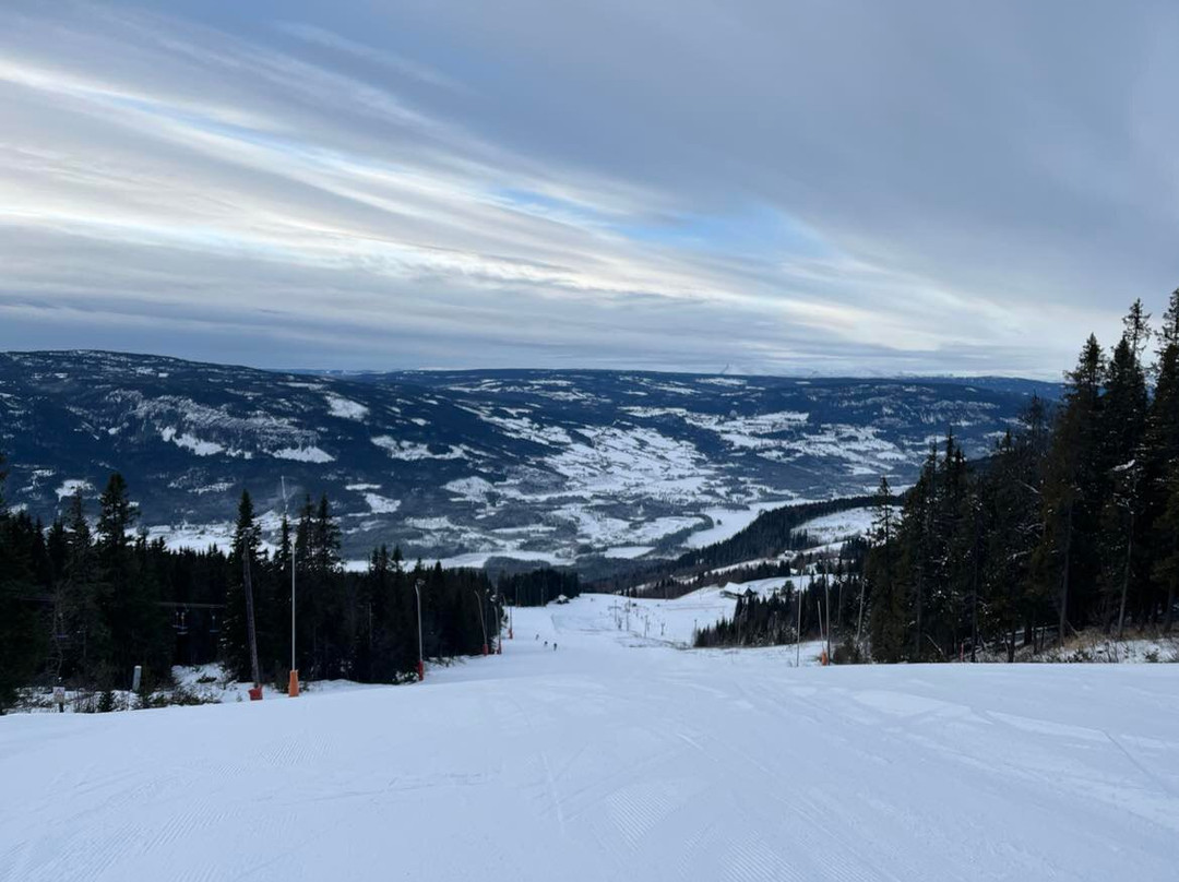 Valdres Alpinsenter景点图片