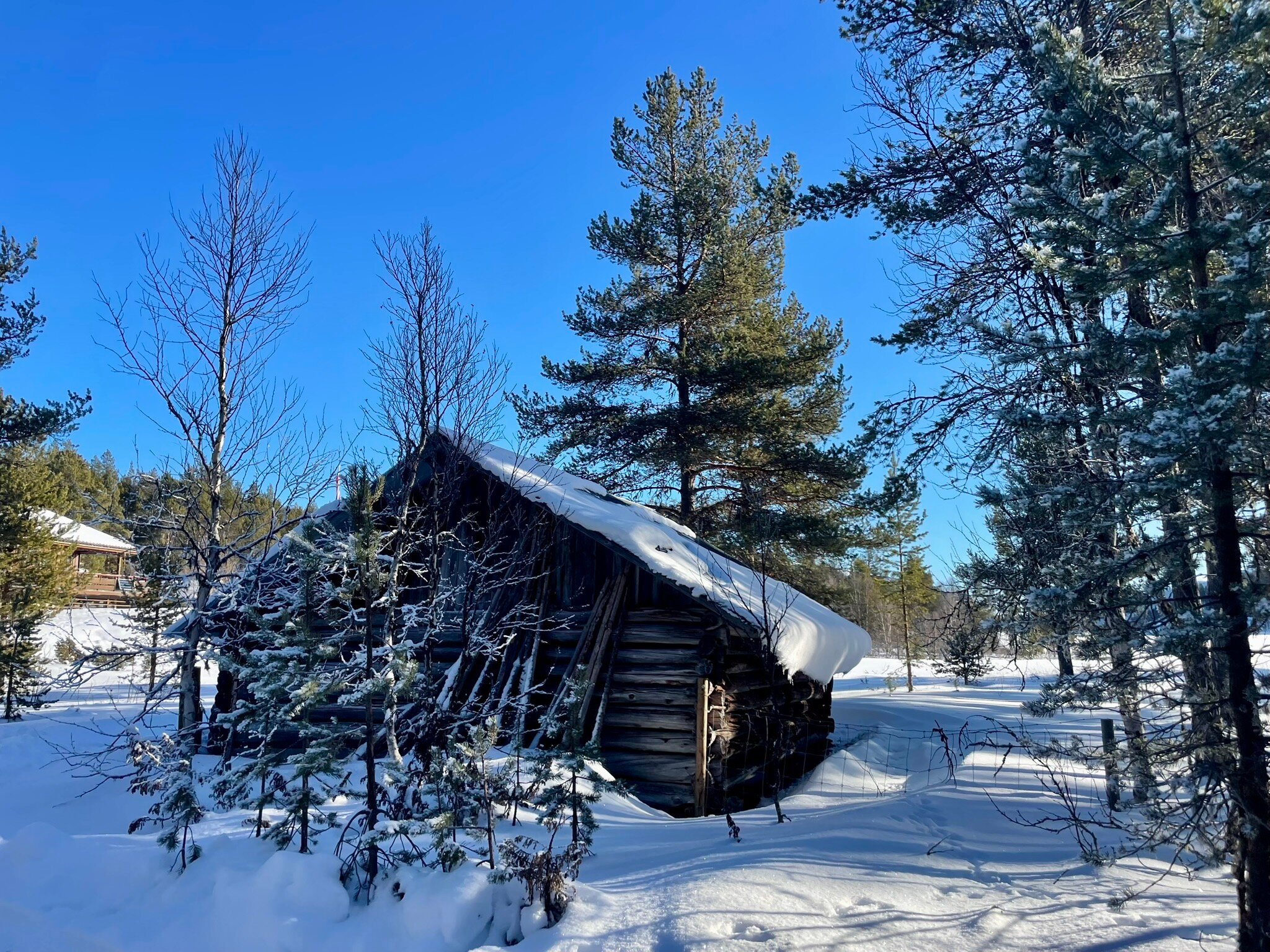 Dalseter Høyfjellshotell-官方