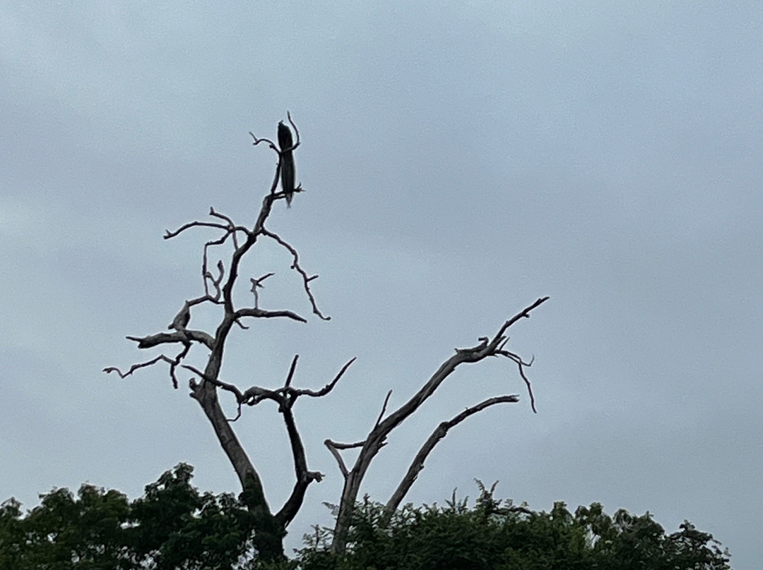 Infinity Safari Udawalwa Sri Lanka-Sevanagala必去景点