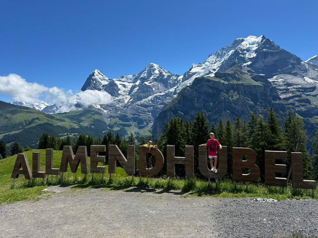 Allmendhubel景点图片