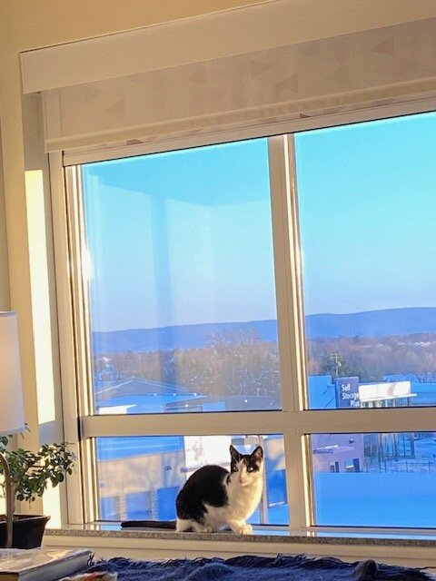 Holiday Inn Winchester Se-historic Gateway By IHG主图