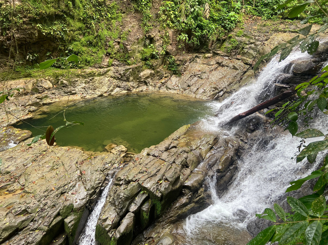 Veragua Rainforest Park景点图片