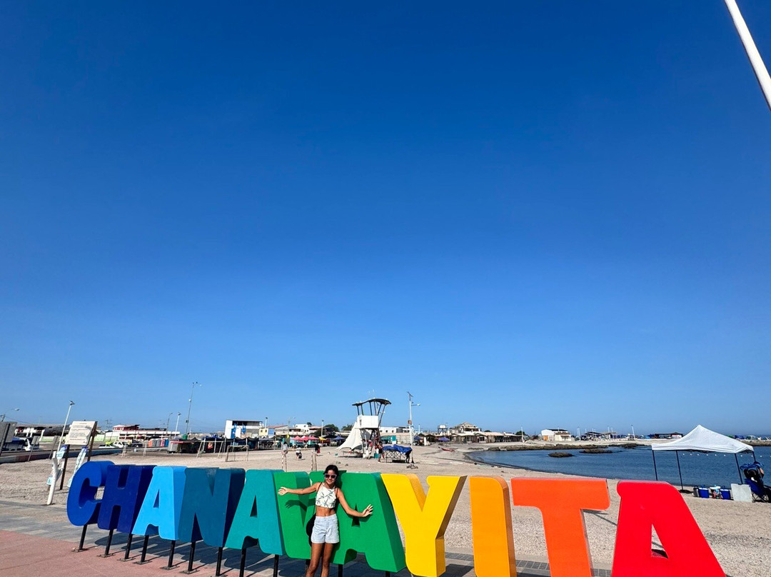 Playa Chanavayita-伊基克必去景点