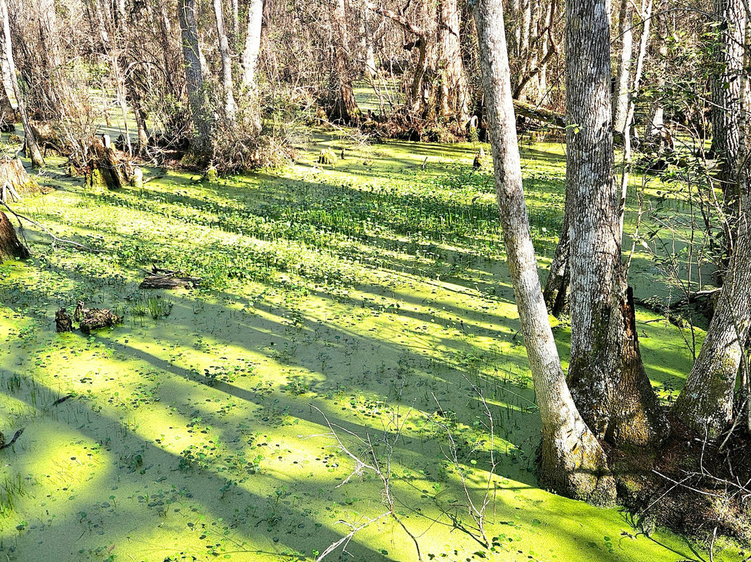 Conservation Park-巴拿马城海滩必去景点