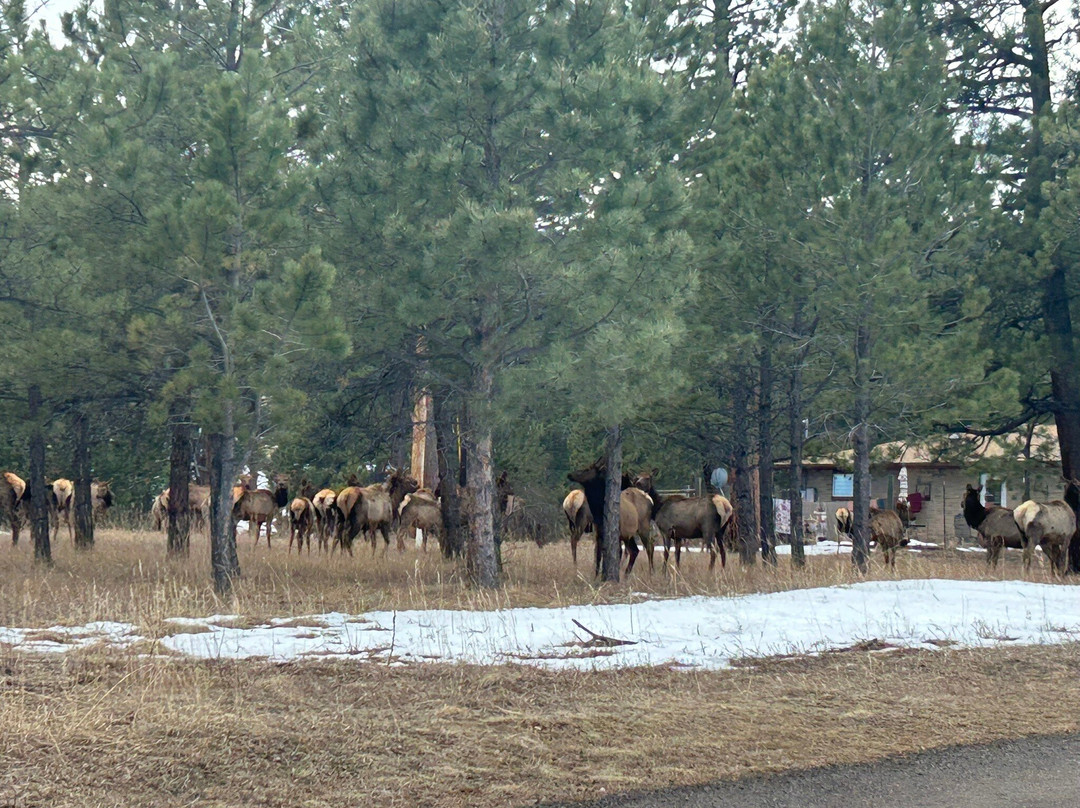 Elk Meadow Park-Evergreen必去景点