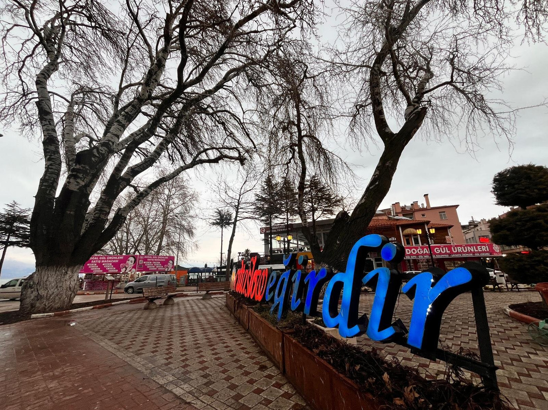 Isparta Historical Mansion Eskiciler Konagi - Cittaslow主图