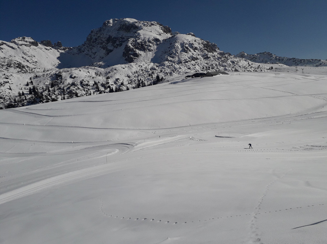 Albergo Pizzo Tre Signori主图