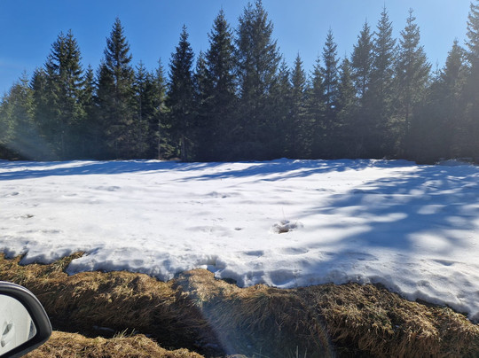 Vietnamesischer Großmarkt.-Potucky必去景点