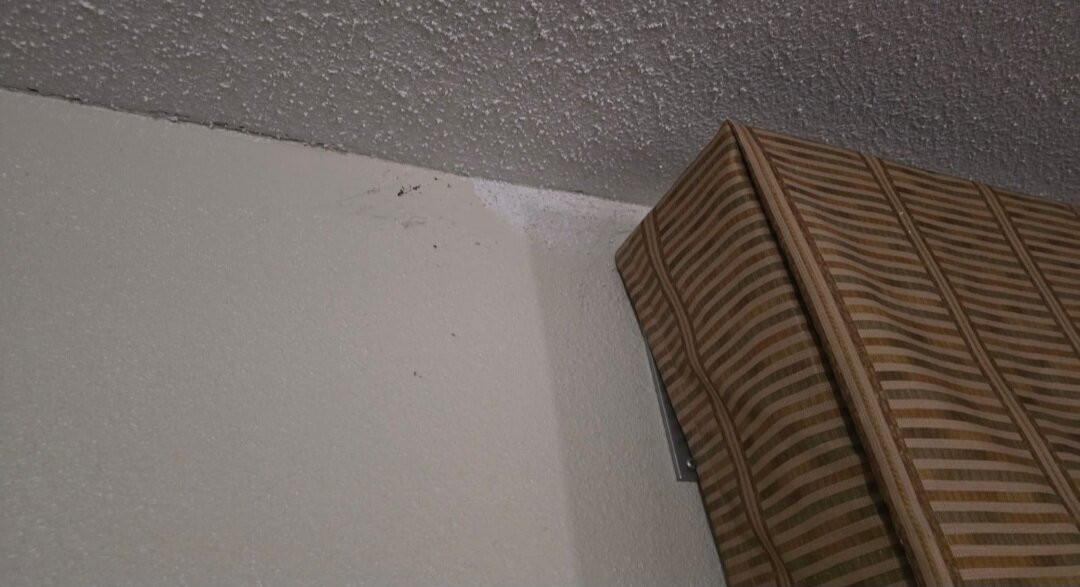 Quality Inn & Suites Florence - Cincinnati South主图