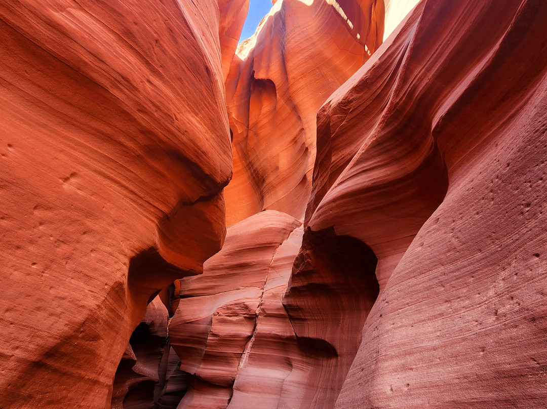 Great West Tours-塞多纳必去景点