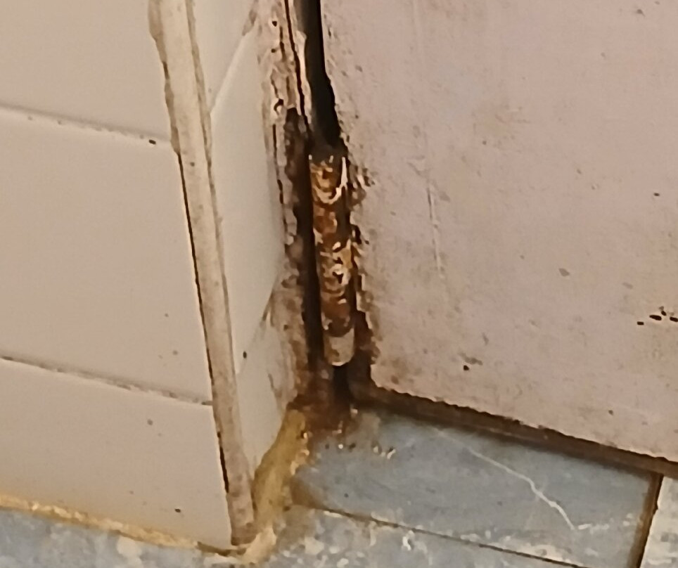 The Byke Sunshine Grand主图