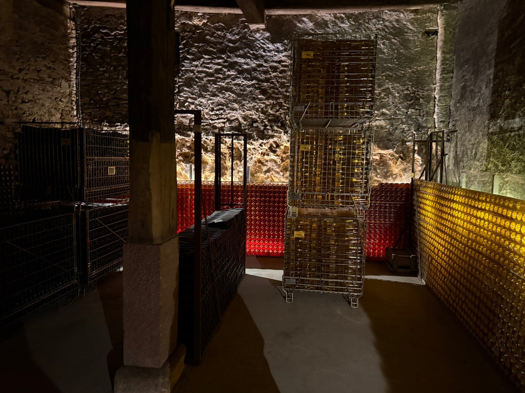 Domaine Albert Seltz景点图片