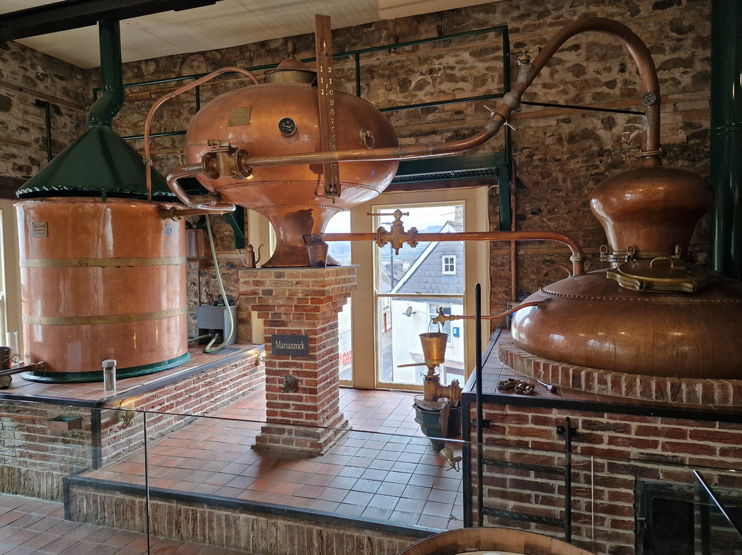 Dartmoor Whisky Distillery景点图片