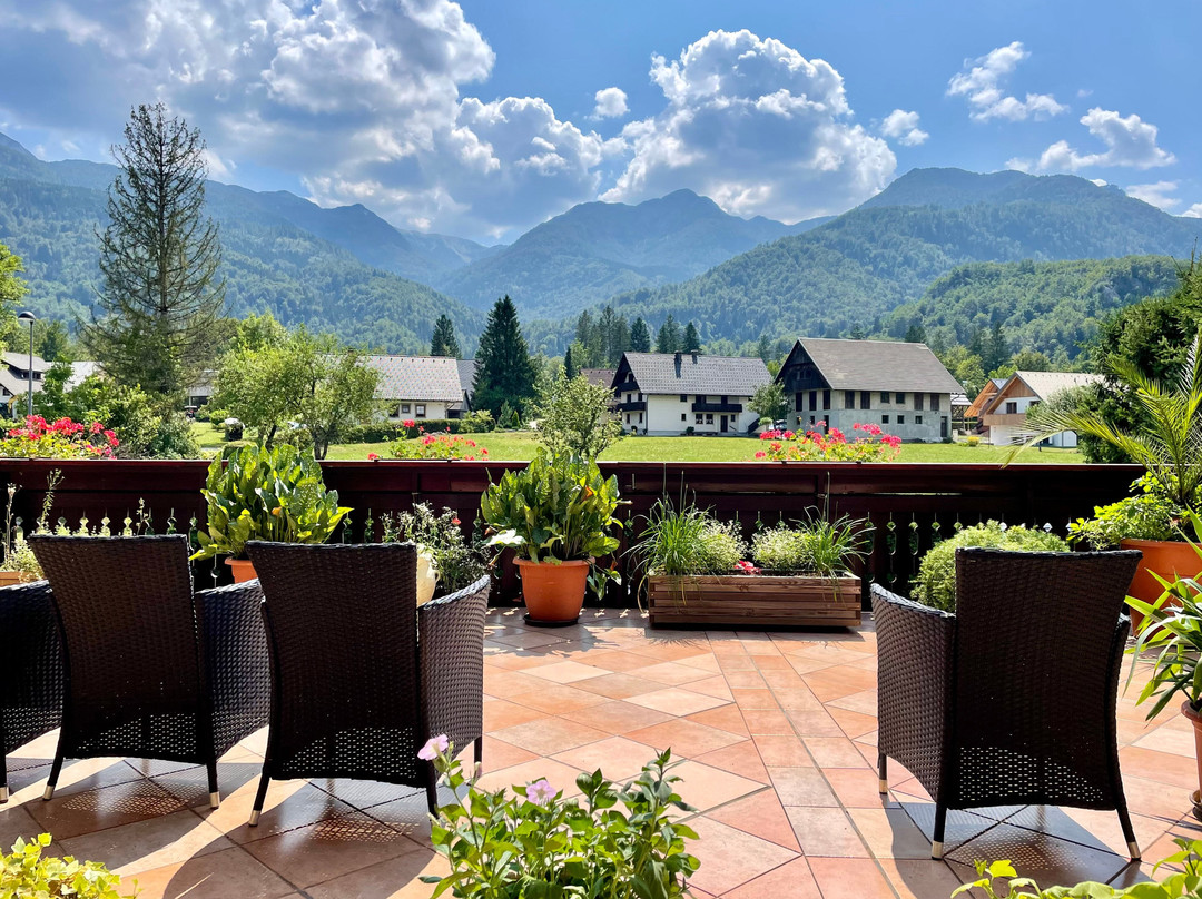 Hotel Gasperin Bohinj主图