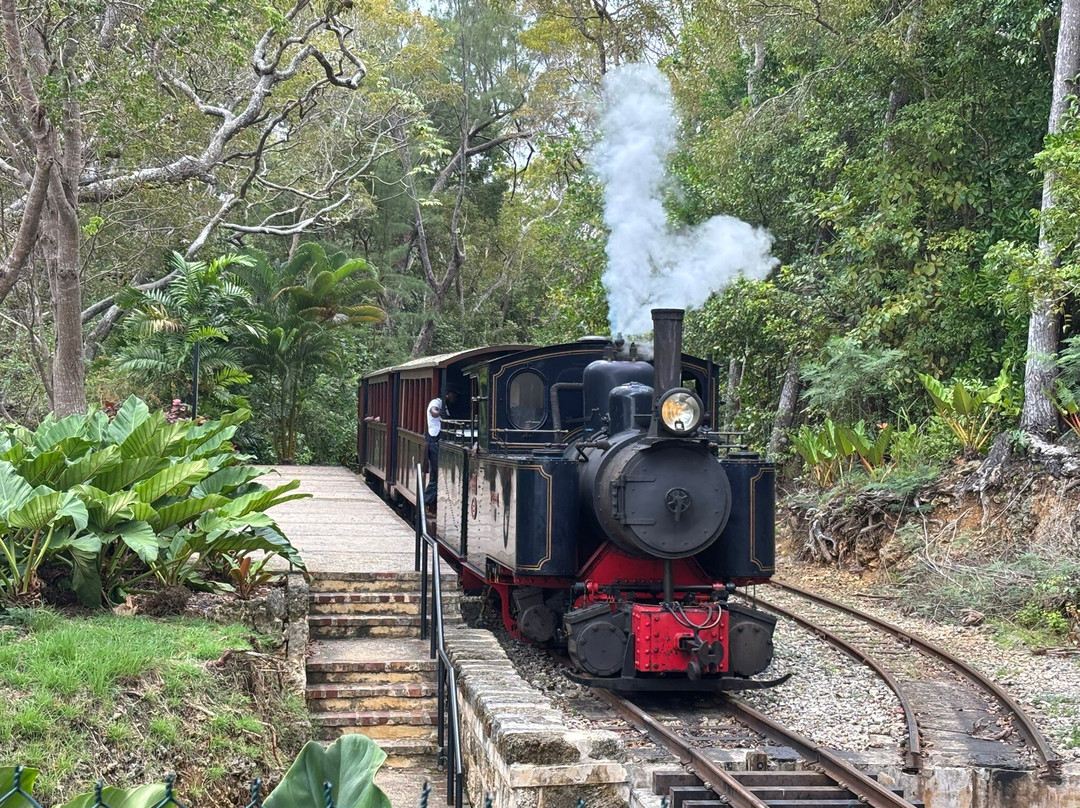 Ted's Tours-Hastings必去景点