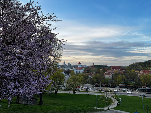Travel Deli-维尔纽斯必去景点
