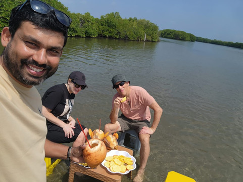 Blue Lion Srilanka Tours-埃勒必去景点