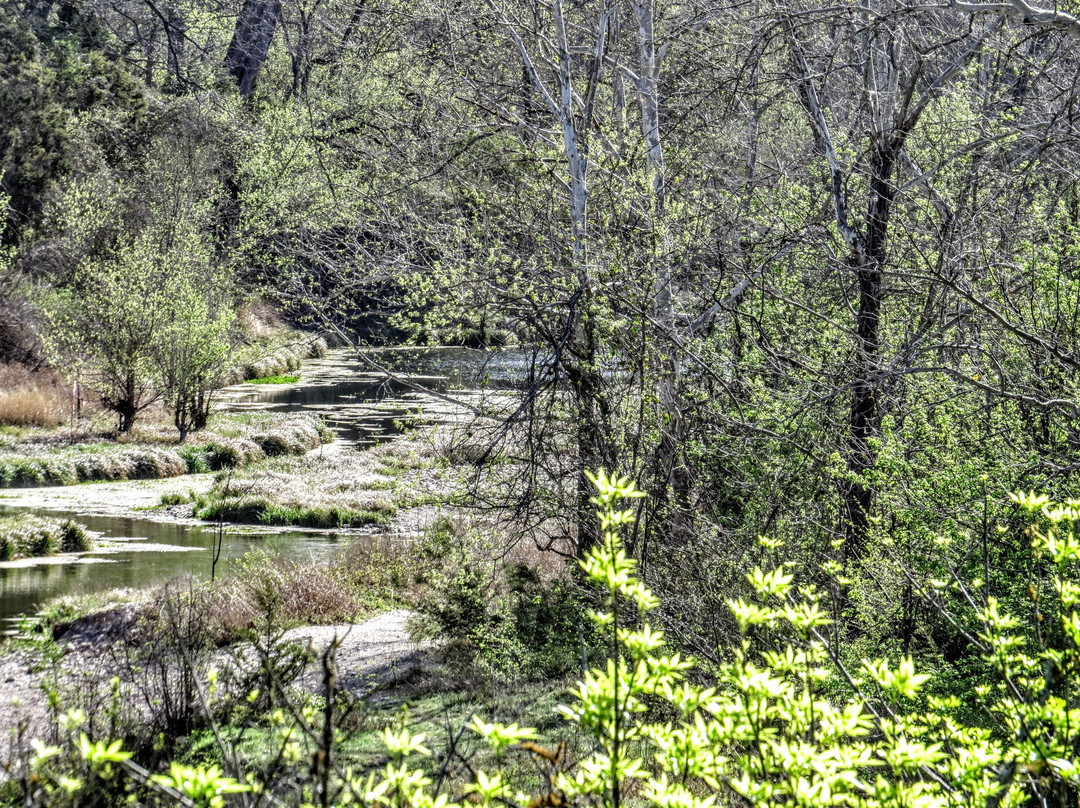 Chalk Ridge Falls Park-Salado必去景点