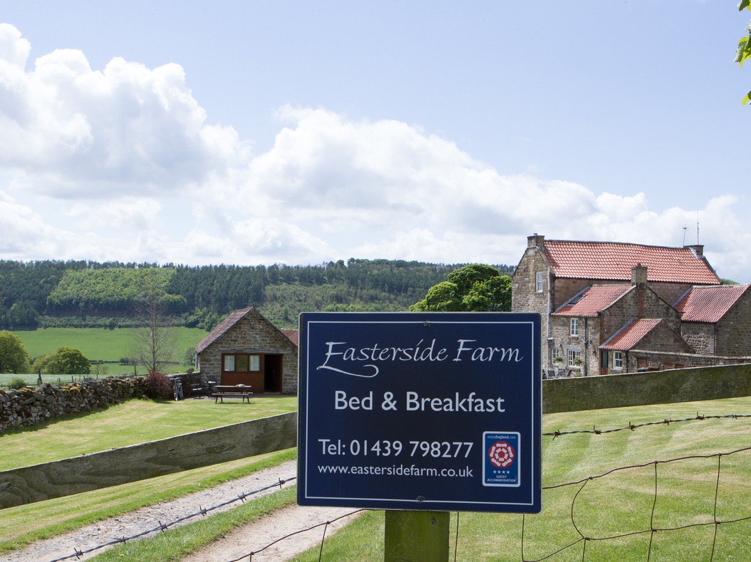 赫尔姆斯利酒店住宿-Easterside Farm
