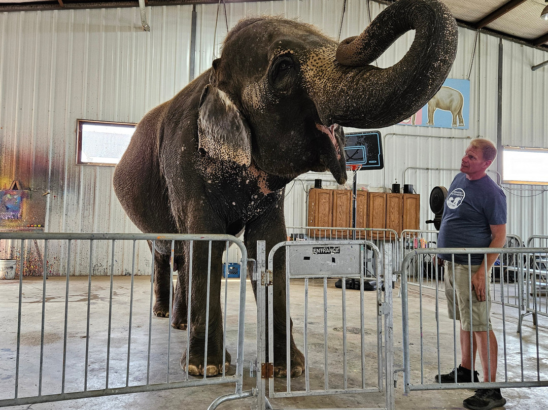 The Endangered Ark Foundation-Hugo必去景点