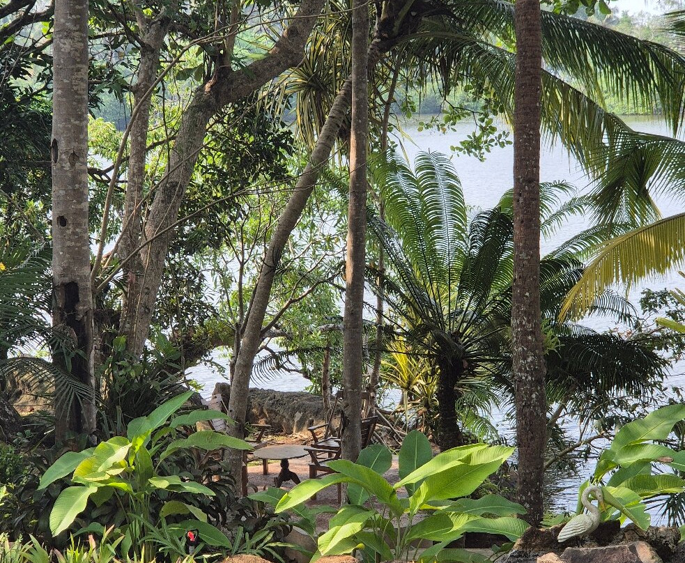 鸟湖别墅酒店主图