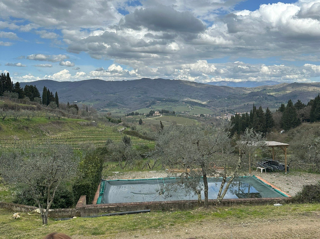 Scenic wine tours in Tuscany-Loro Ciuffenna必去景点