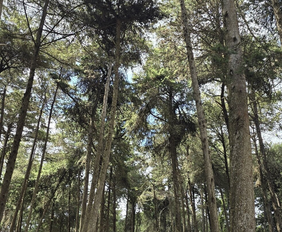 The Base Hotel Mbooni主图