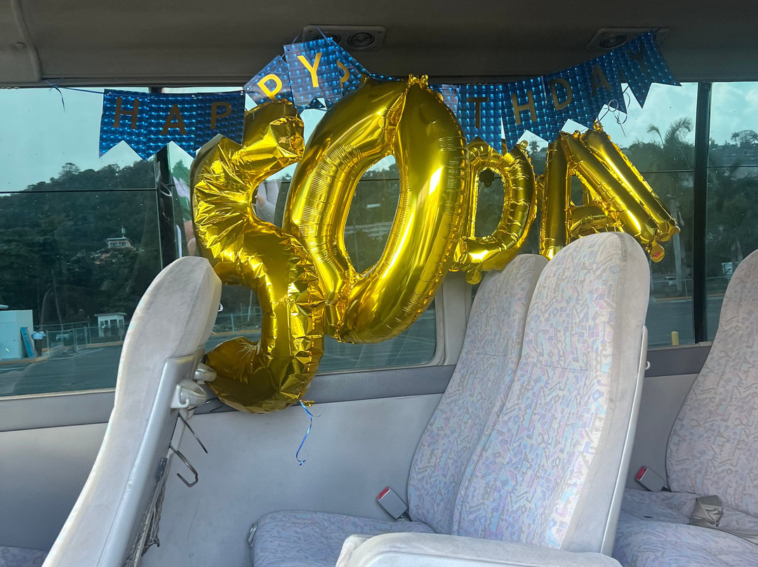 Antsman Tours Jamaica-内格里尔必去景点