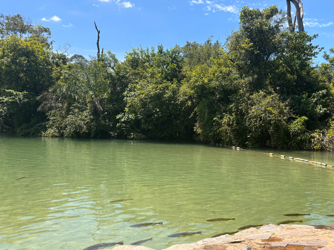 Balneario Municipal-博尼图必去景点