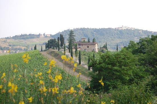 Under the Tuscan Moon主图