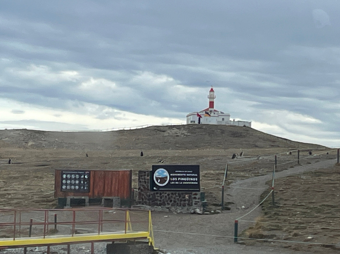 Isla Magdalena-蓬塔阿雷纳斯必去景点