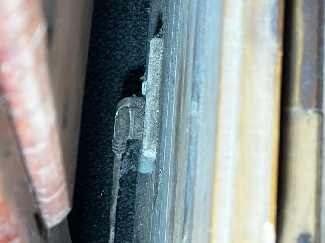 茅斯热带雨林度假村主图