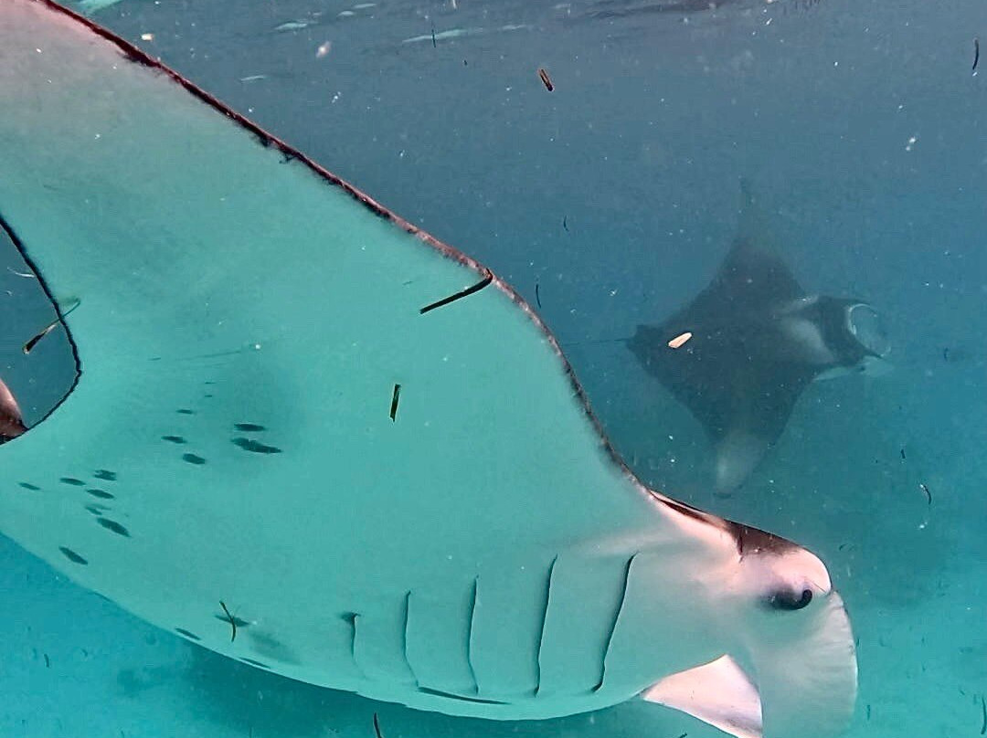 Flow Ventures-Fulhadhoo Island必去景点