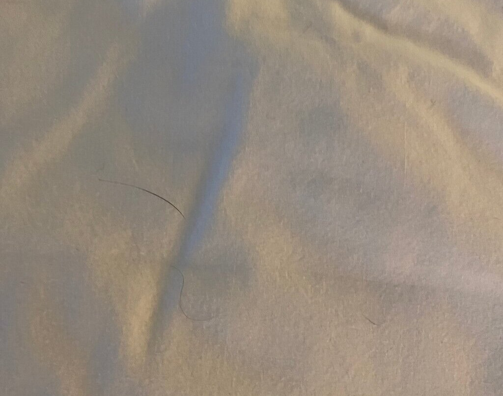 Mulberry, A Wyndham Hotel主图