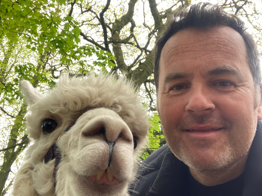 Charnwood Forest Alpacas景点图片