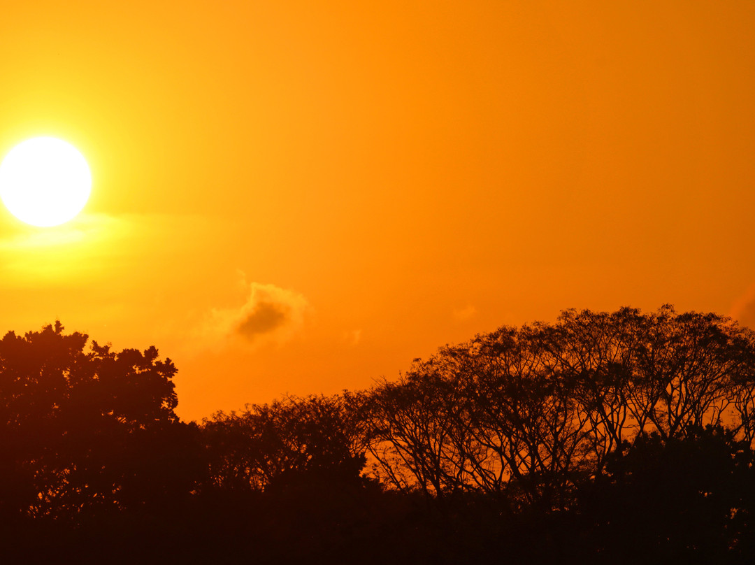 Hotel Samara Pacific Lodge主图