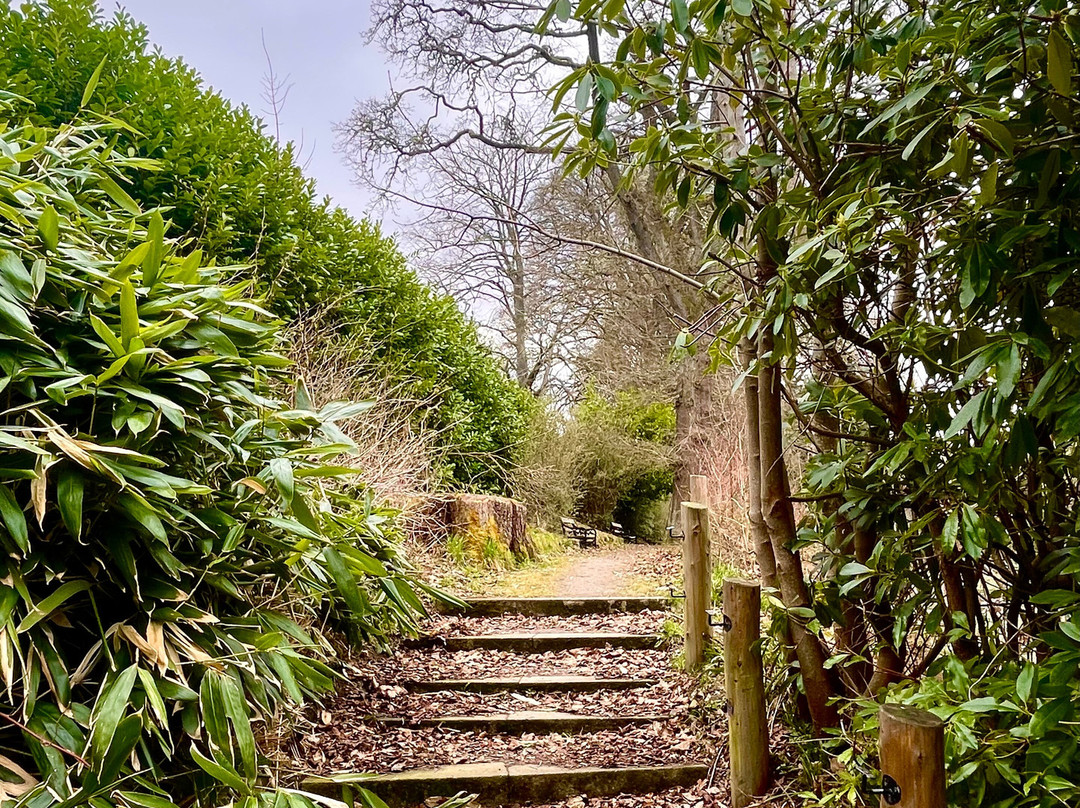 Blackmuir Wood景点图片