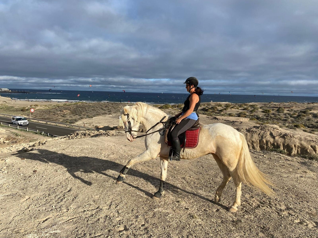Hipica Cuadras El Medano-El Medano必去景点
