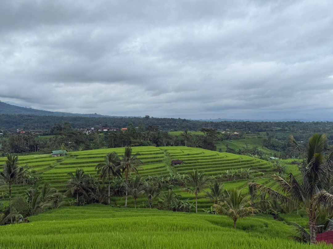 Kirani Bali Tour景点图片