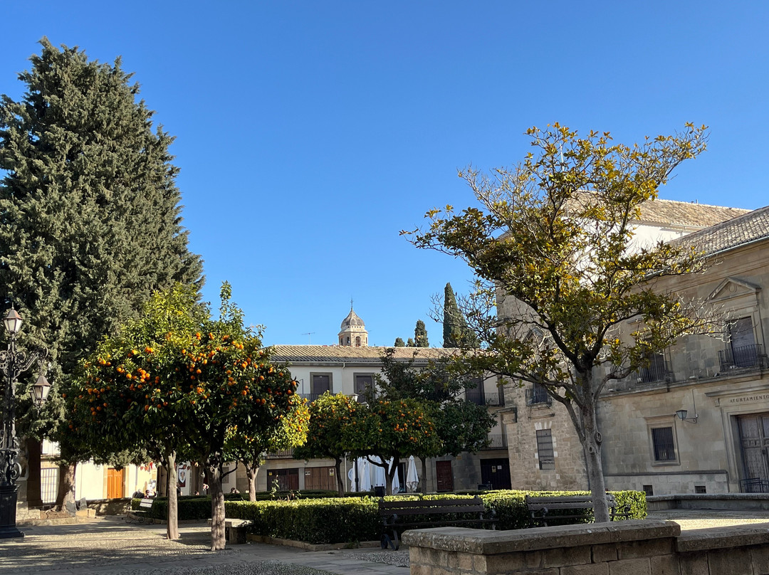 Boutique Hotel Nueve Leyendas主图