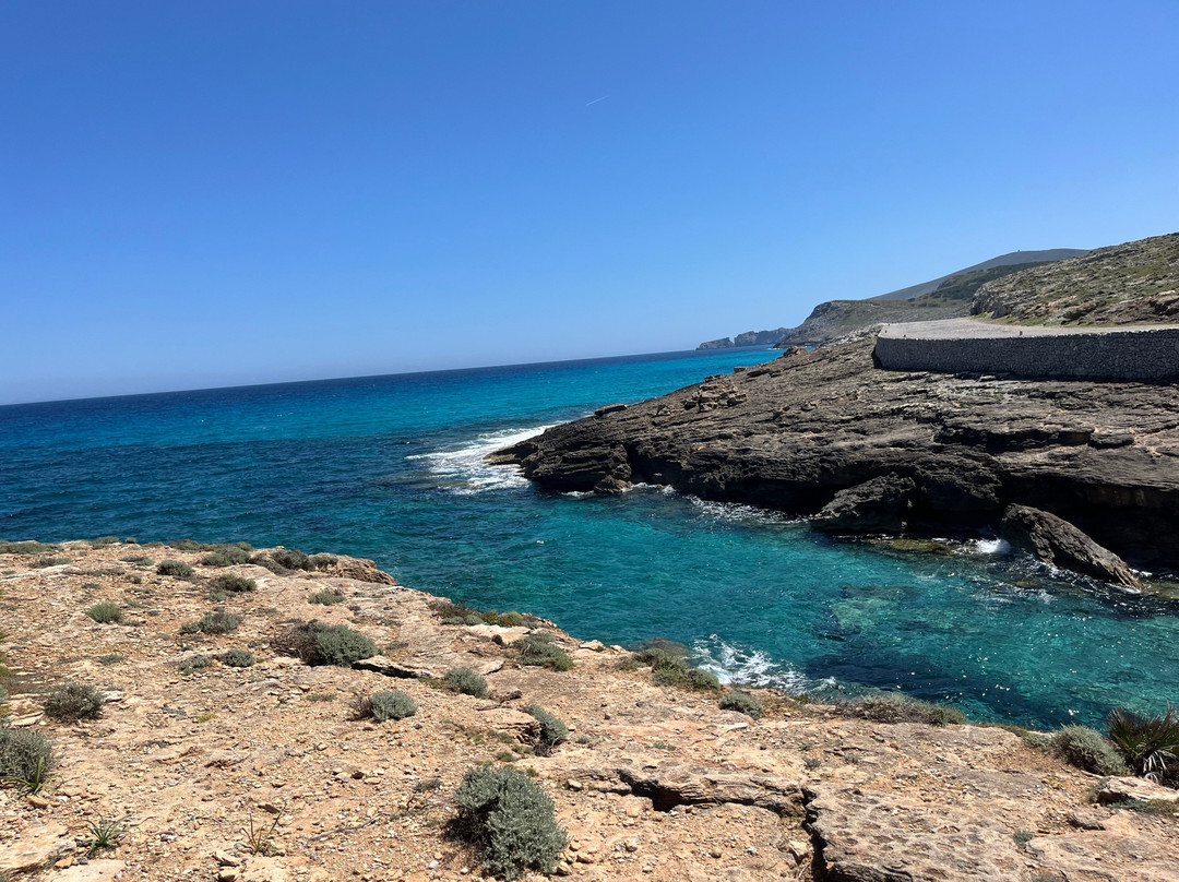 Rent a Bike Schulz & Junior-Cala Ratjada必去景点