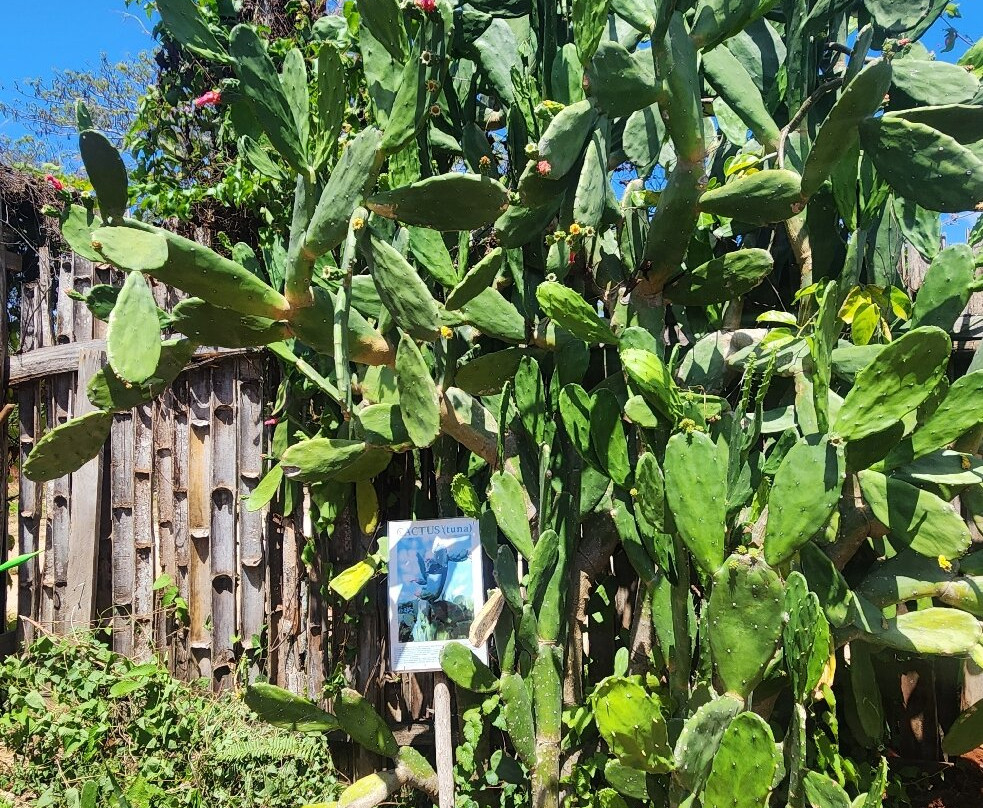 Major 1 Tours-蒙特戈贝必去景点