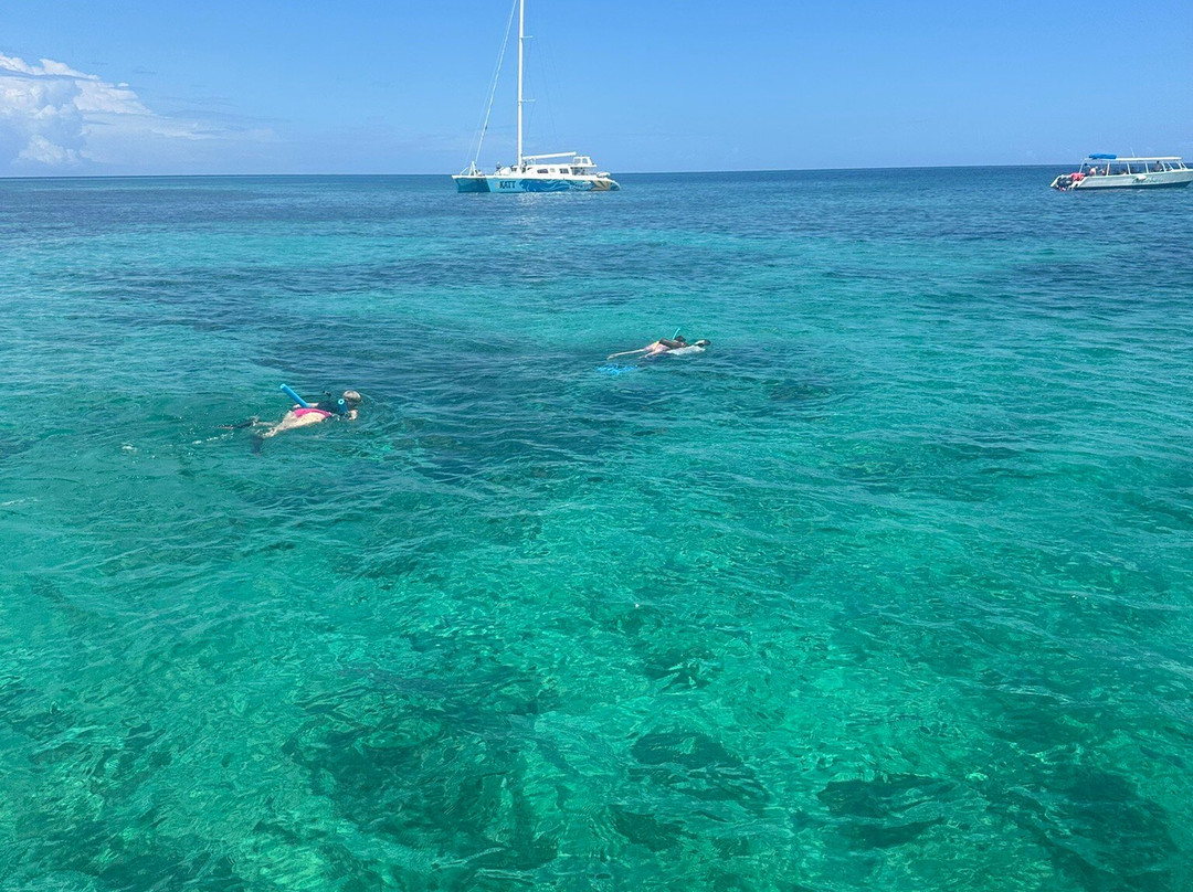 Famous Vincent Glass Bottom Boats-内格里尔必去景点