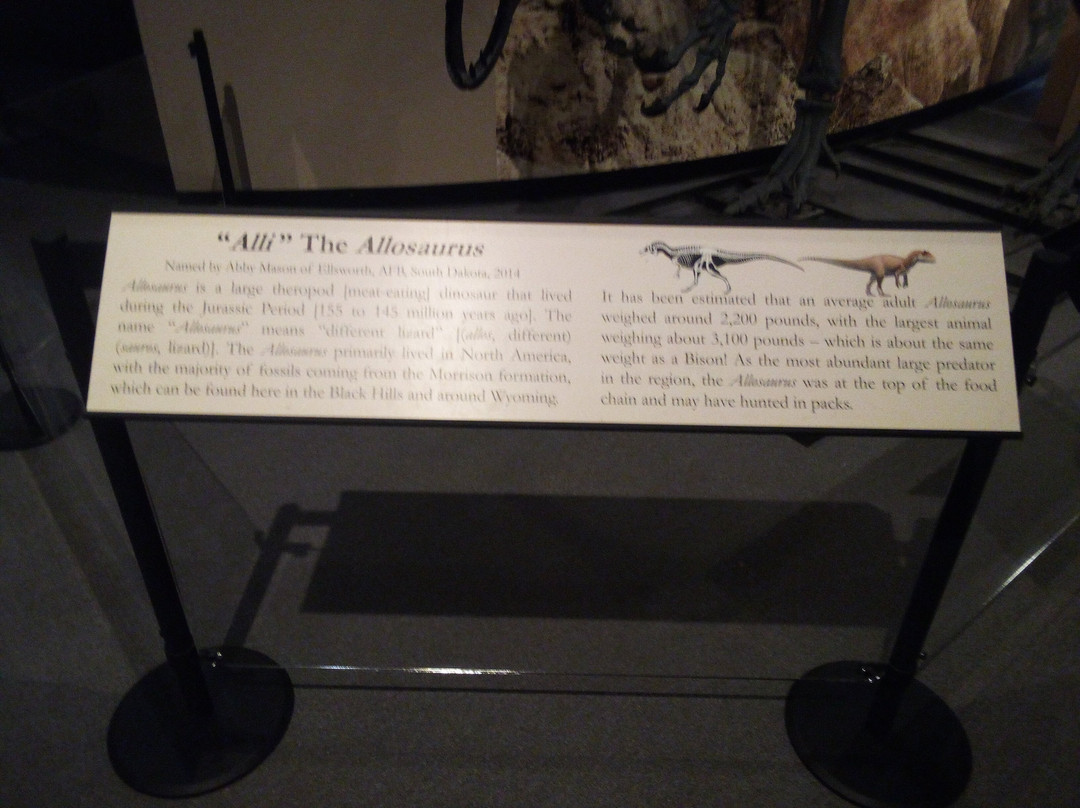 The Journey Museum-拉皮德城必去景点