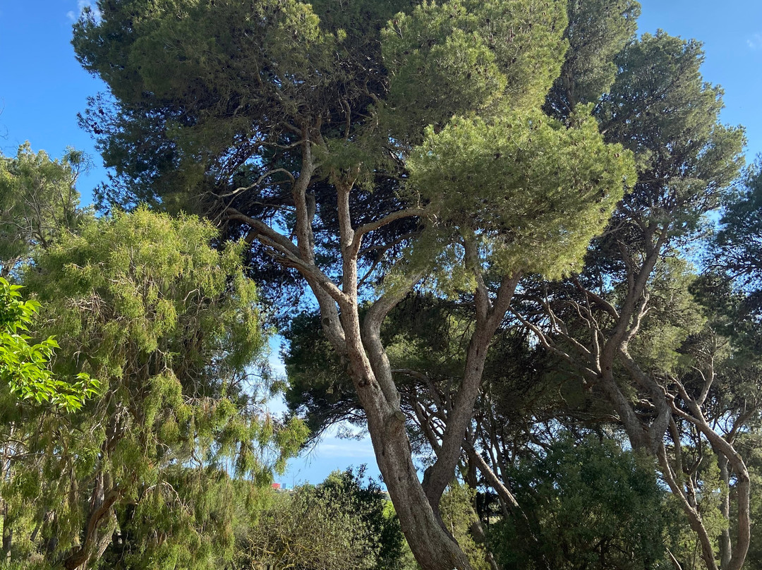 Château le Bouïs主图