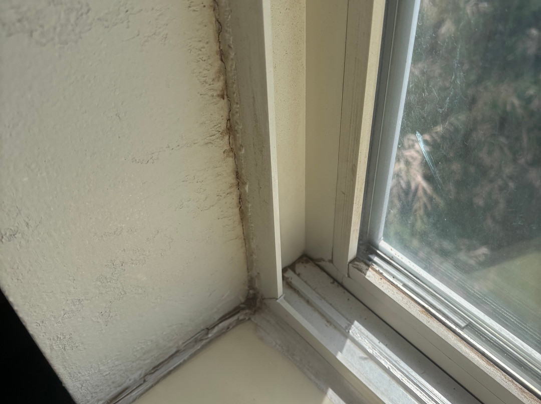 Sleep Inn University主图